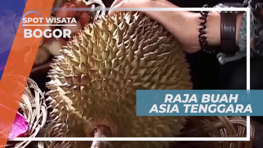 Durian, Si Raja Buah Asia Tenggara, Kota Bogor