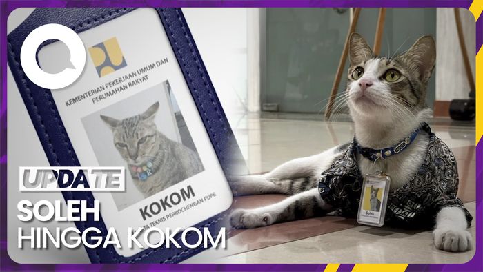 Sederet Kucing yang Jadi Pegawai Pajak hingga Kementerian PUPR