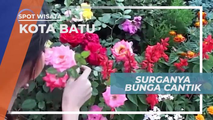 Desa Sidomulyo, Surgamya Kebun Bunga di Kota Batu