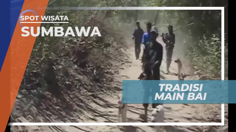 Main Bai, Tradisi Berburu di Sumbawa Barat