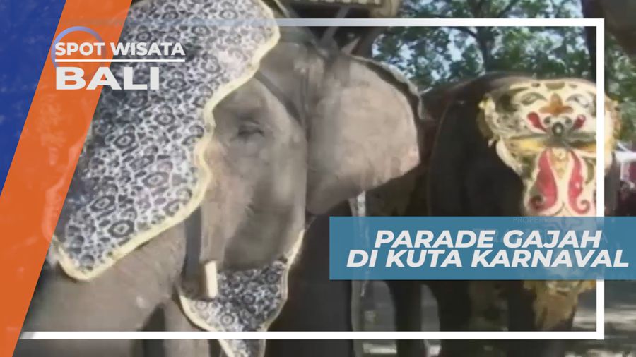 Melihat Parade Gajah di Kuta Karnaval Bali