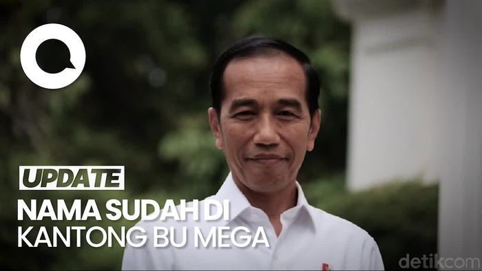 Jokowi Senang Capres PDIP Kader Sendiri: Nama Sudah di Kantong Bu Mega