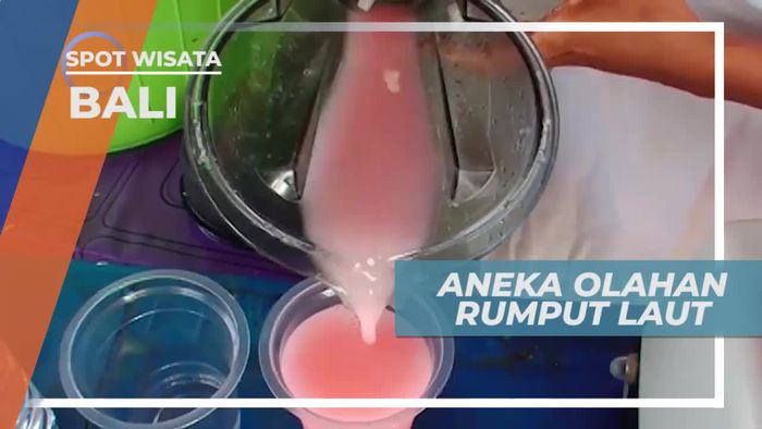 Dari Minuman Hingga Rempeyek, Aneka Olahan Rumput Laut yang Lezat, Bali