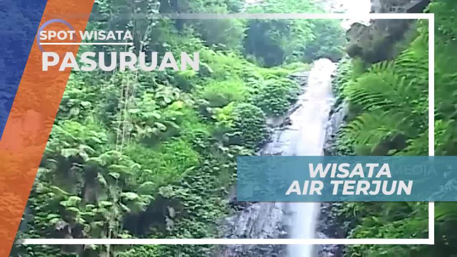 Bertemu Monyet Liar Dalam Perjalanan Menuju Air Terjun di Pasuruan