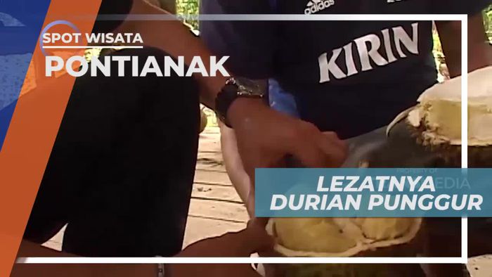 Mencicipi Kelezatan Durian Punggur, Pontianak