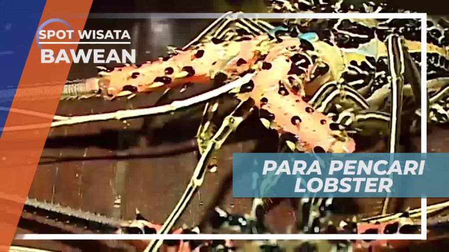Para Pencari Lobster Pulau Bawean Jawa Timur