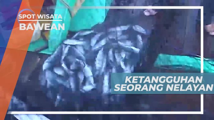 Melaut Sejak Pagi Buta, Kehidupan Nelayan Pulau Bawean Jawa Timur
