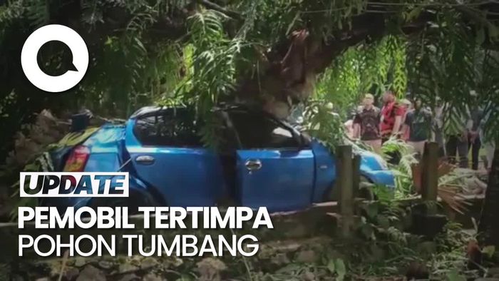 Momen Evakuasi Sopir Tewas Terjepit Tertimpa Pohon Tumbang di Gowa
