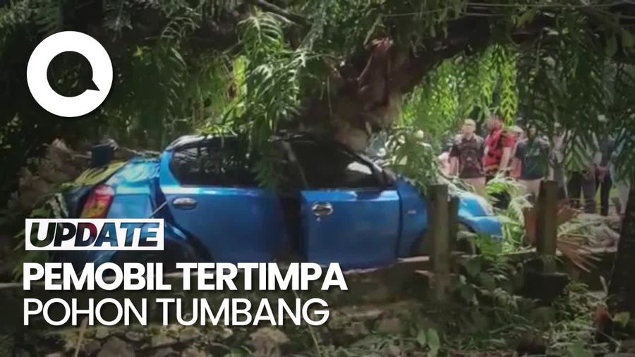 Momen Evakuasi Sopir Tewas Terjepit Tertimpa Pohon Tumbang di Gowa