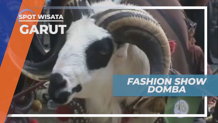 Domba Catwalk, Fashion Show Unik di Garut