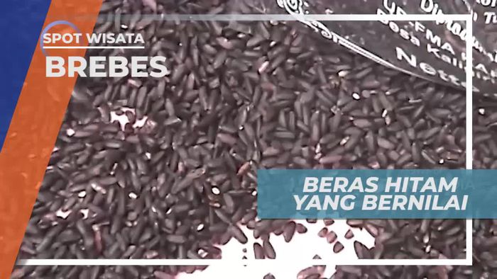 Legenda Makanan Kaum Bangsawan di Kota Brebes  