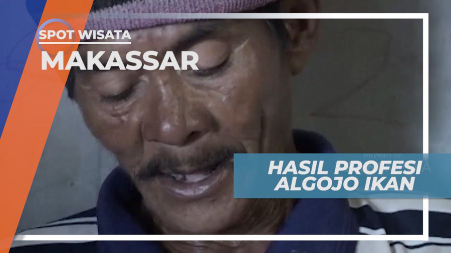 Algojo Ikan, Profesi Dengan Penghasilan Lumayan, Makassar