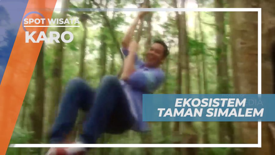 Simalem, Ekosistem Taman yang Sejuk dan Nyaman, Karo Sumatera Utara