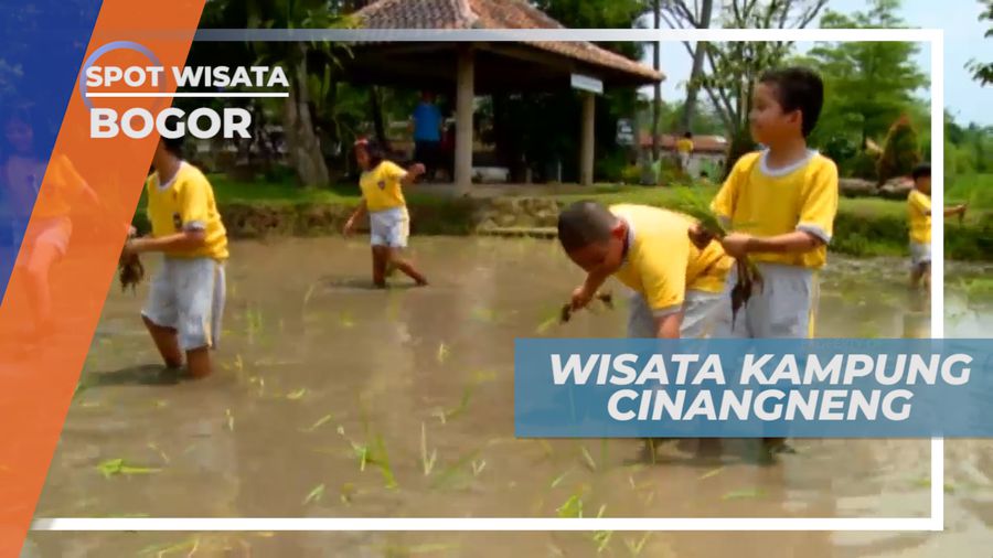Isi Liburan Mengunjungi Kampung Wisata di Cinangneng, Bogor