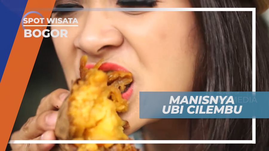Menikmati Manis Legit Ubi Cilembu dengan Daging yang Lembut, Bogor