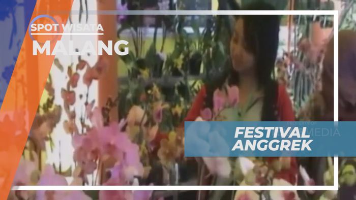 Berburu Beragam Jenis Bunga Hutan di Festival Anggrek Kota Bunga, Malang