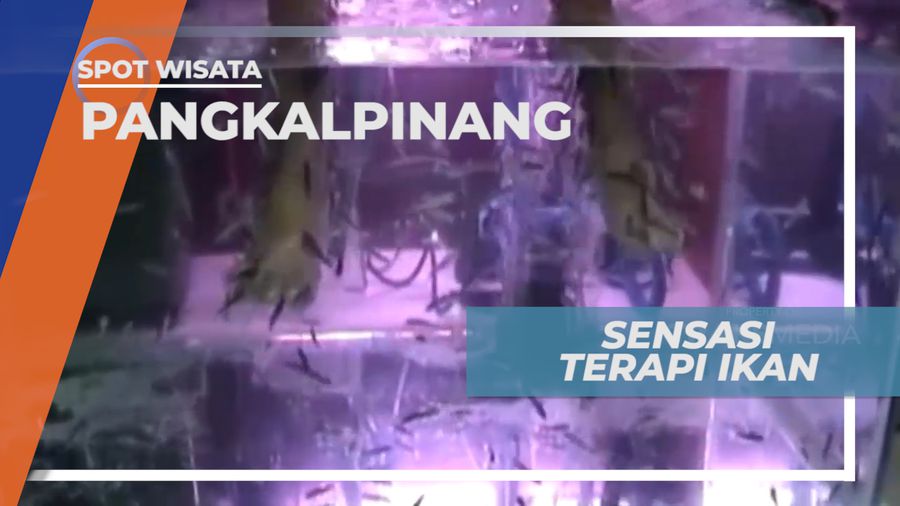 Ikan Gara Rufa, Ikan Spesial untuk Terapi Kulit, Pangkalpinang