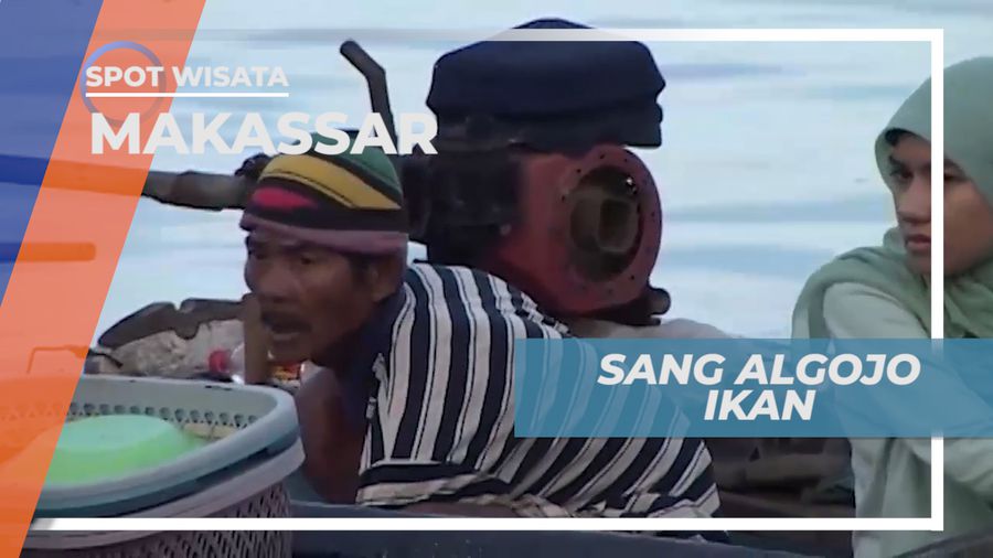 Sehari Merasakan Menjadi Algojo Ikan di Pasar Pelelangan Ikan, Makssar