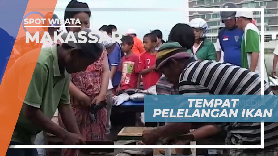 Algojo Ikan, Mendulang Rejeki di Pasar Pelelangan Ikan, Makassar