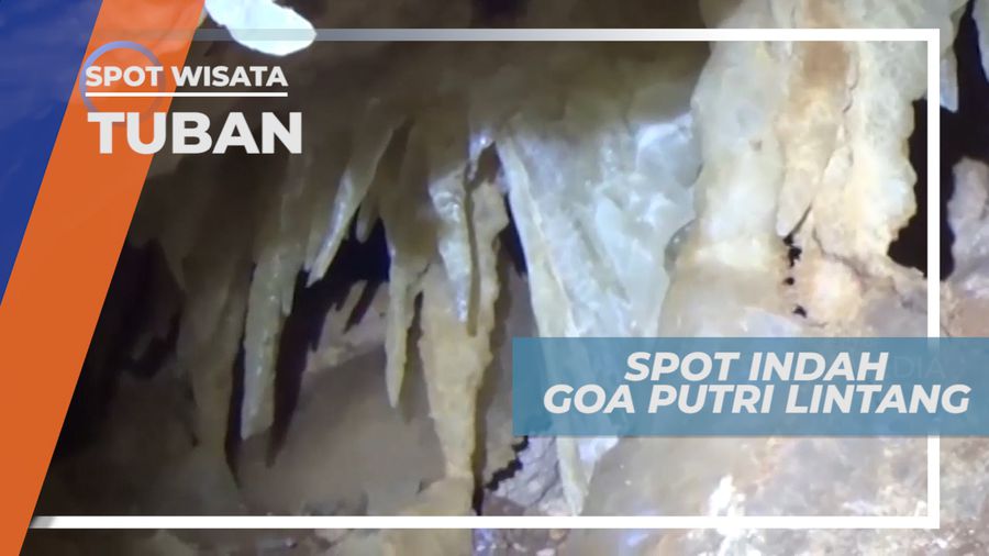 Goa Putri Lintang, Surga Tersembunyi yang Ditemukan Penambang Batu, Tuban