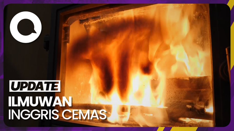 Polusi dan Ancaman Kesehatan Akibat Pembakaran Kayu di Musim Dingin
