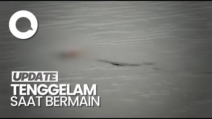 Heboh Video Buaya Antar Jasad Balita ke Keluarga dalam Kondisi Utuh