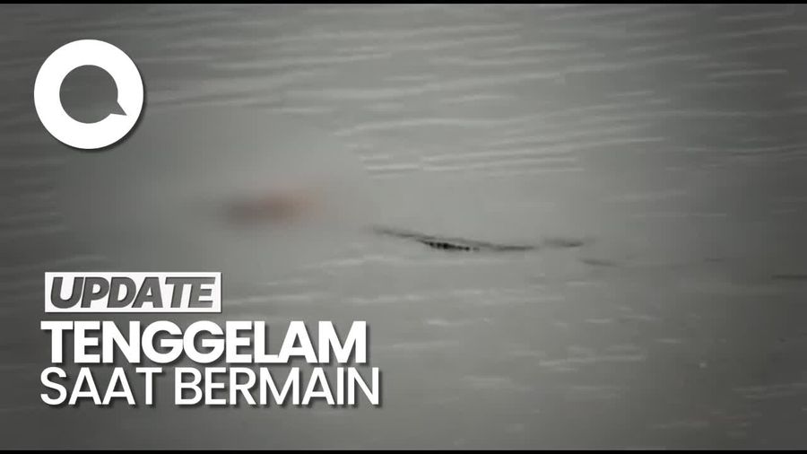 Heboh Video Buaya Antar Jasad Balita ke Keluarga dalam Kondisi Utuh