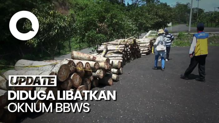 Polisi Kembali Tangkap Pelaku Pembalakan Liar Waduk Jatibarang Semarang