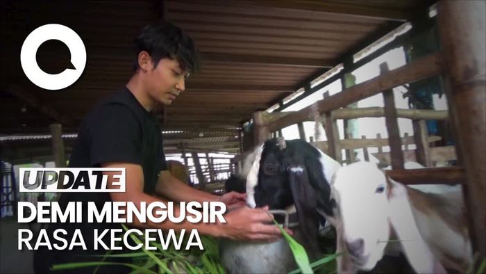 Liga 2 Disetop, Pemain Gresik United Pilih Bantu Ortu Cari Rumput