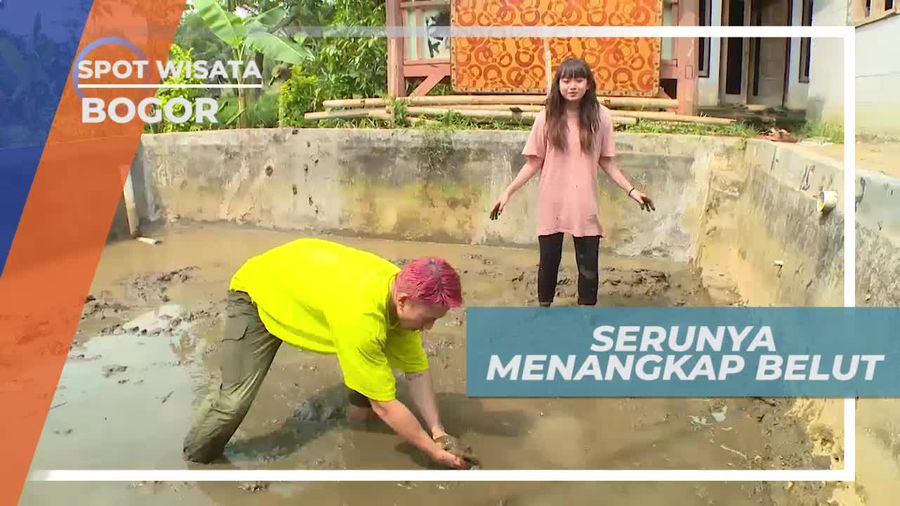 Menangkap Belut Super Licin di Bogor
