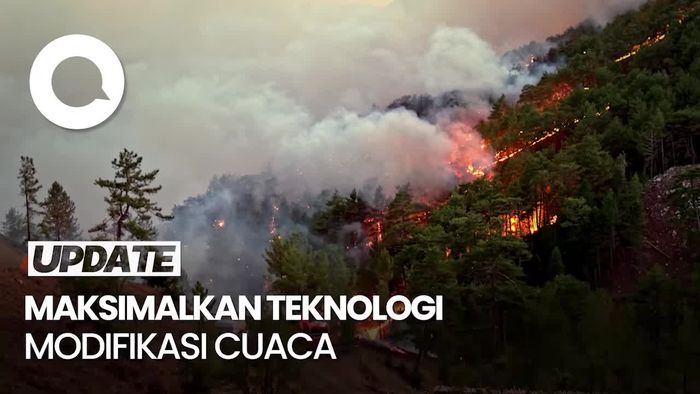 BNPB Beberkan Strategi Cegah Kebakaran Hutan di Indonesia
