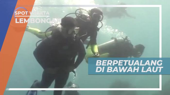 Melihat Dari Dekat Aneka Biota Laut di Pulau Lembongan Bali