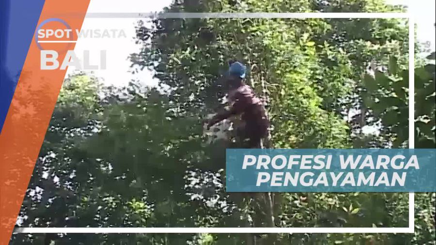 Petani, Mayoritas Profesi Warga Desa Pegayaman Bali