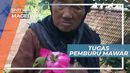 Kehidupan Para Petani Mawar, Magelang