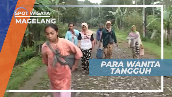 Para Wanita Tangguh Penjual Mawar, Magelang