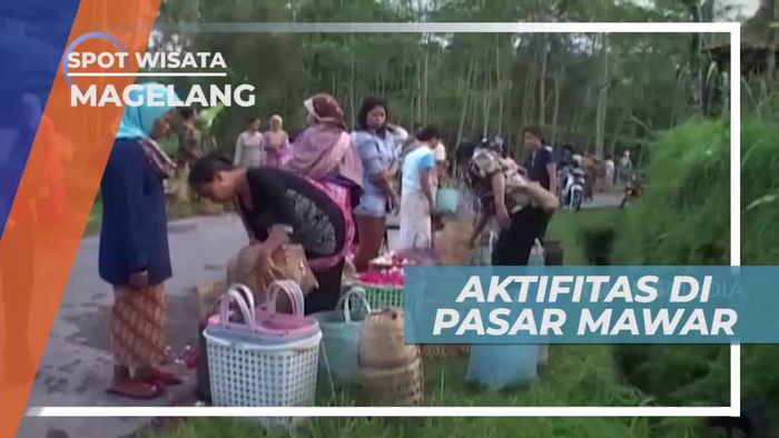 Pasar Pakis, Sentra Jual-beli Bunga Mawar Terbesar di Magelang