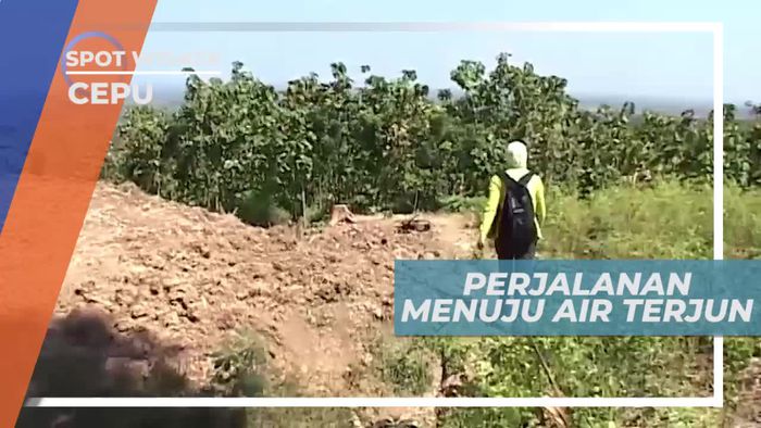 Melewati Hijaunya Hutan Jati Dalam Perjalanan Menuju Air Terjun Widuri Cepu Blora