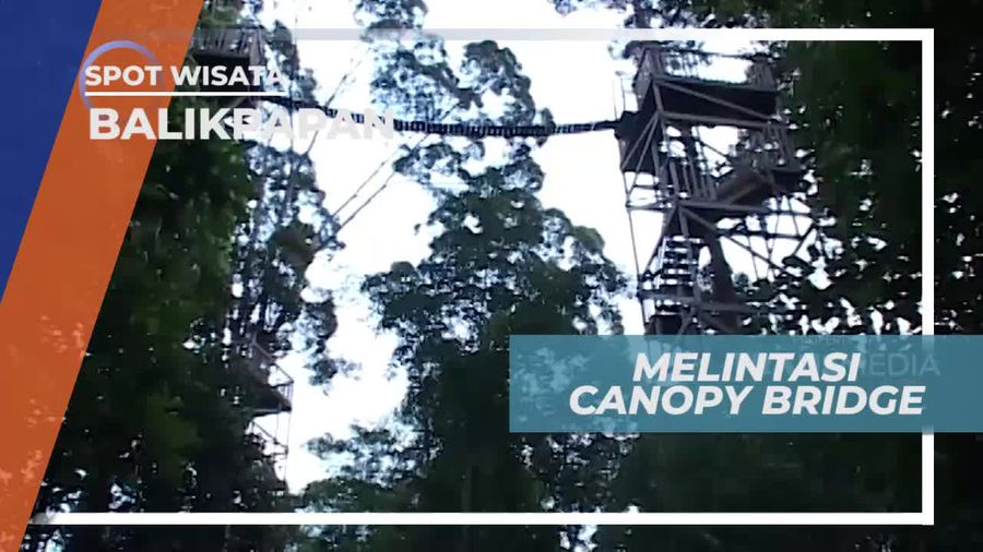 Panorama Hutan Tropis nan Indah Dari Canopy Bridge Bukit Bangkirai Balikpapan