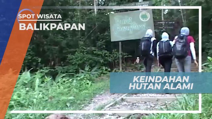 Bukit Bangkirai Balikpapan, Wisata Alam Hutan Tropis Dengan Berbagai Wahana Outbound