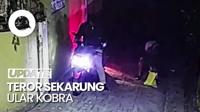 Teror di Rumah Eks Gubernur Banten: Sekarung Ular Kobra, Jelang Anies Datang