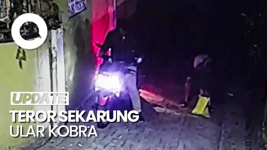 Teror di Rumah Eks Gubernur Banten: Sekarung Ular Kobra, Jelang Anies Datang