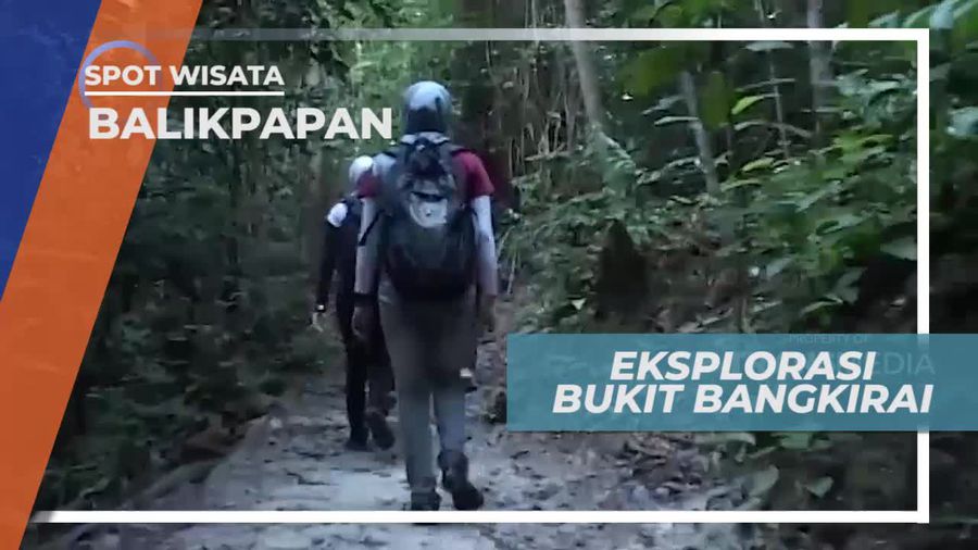 Menikmati Suasana Sejuk Saat Eksplorasi Bukit Bangkirai Balikpapan