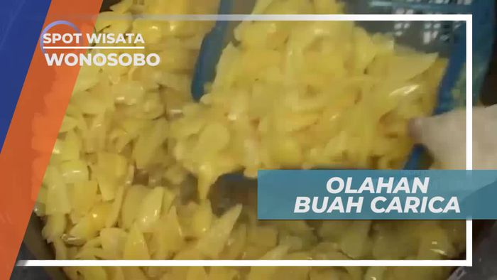 Aneka Olahan Lezat Berbahan Dasar Buah Carica, Wonosobo