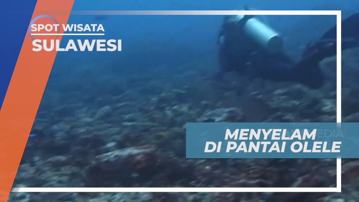 Menikmati Indahnya Surga Bawah Laut Pantai Olele, Gorontalo