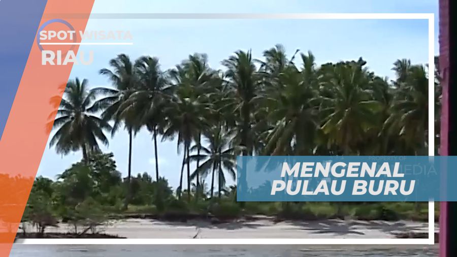 Mengenal Kehidupan Masyarakat Pulau Buru yang Sederhana, Kepulauan Riau