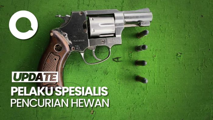 Pencuri Bersenpi Tewas Ditembak Polisi Usai Melawan saat Ditangkap