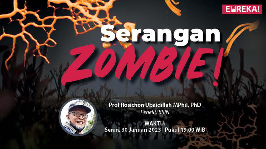 Serangan Zombie!