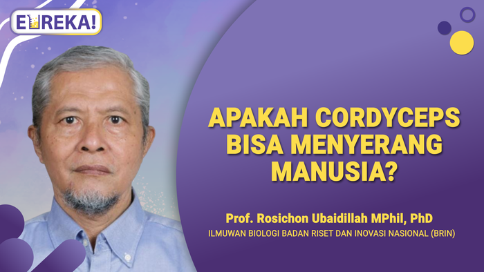 Mungkinkah Parasit Zombie Pada Hewan Menginfeksi Manusia?