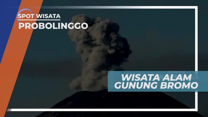 Menikmati Keindahan Alam dan Suasana Sejuk Kawasan Gunung Bromo, Jawa Timur