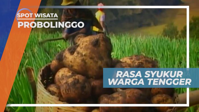 Warga Tengger yang Pandai Bersyukur, Probolinggo